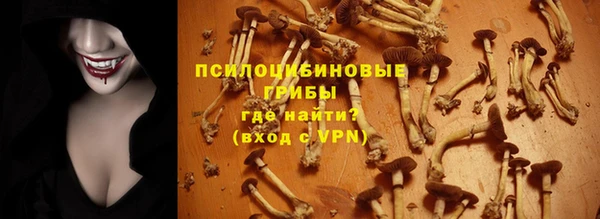 ГАЛЛЮЦИНОГЕННЫЕ ГРИБЫ Няндома
