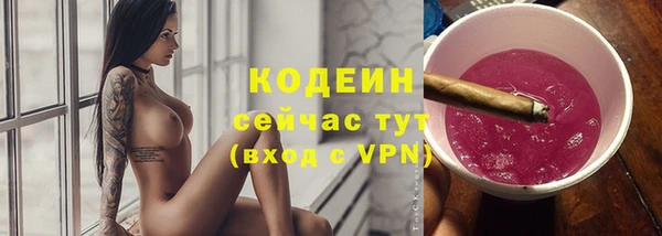 ГАЛЛЮЦИНОГЕННЫЕ ГРИБЫ Няндома