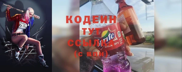 стаф Новозыбков