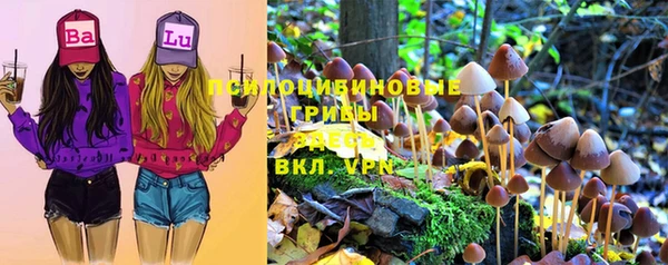 ГАЛЛЮЦИНОГЕННЫЕ ГРИБЫ Няндома