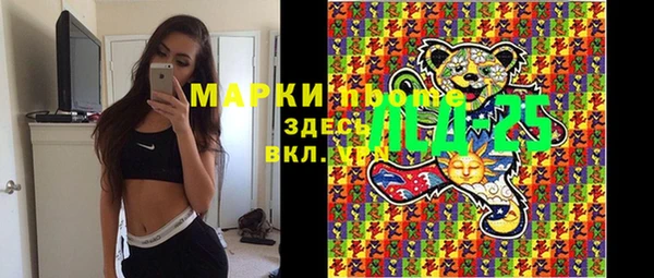 ГАЛЛЮЦИНОГЕННЫЕ ГРИБЫ Няндома