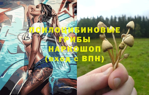 mdma Нязепетровск