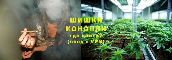 ГАЛЛЮЦИНОГЕННЫЕ ГРИБЫ Няндома